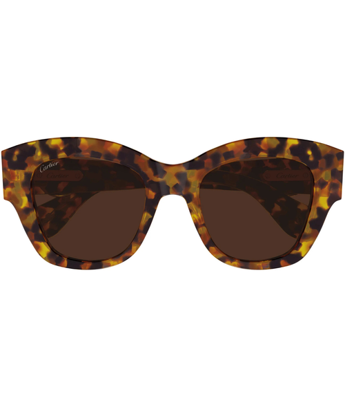 Honey Havana-Brown