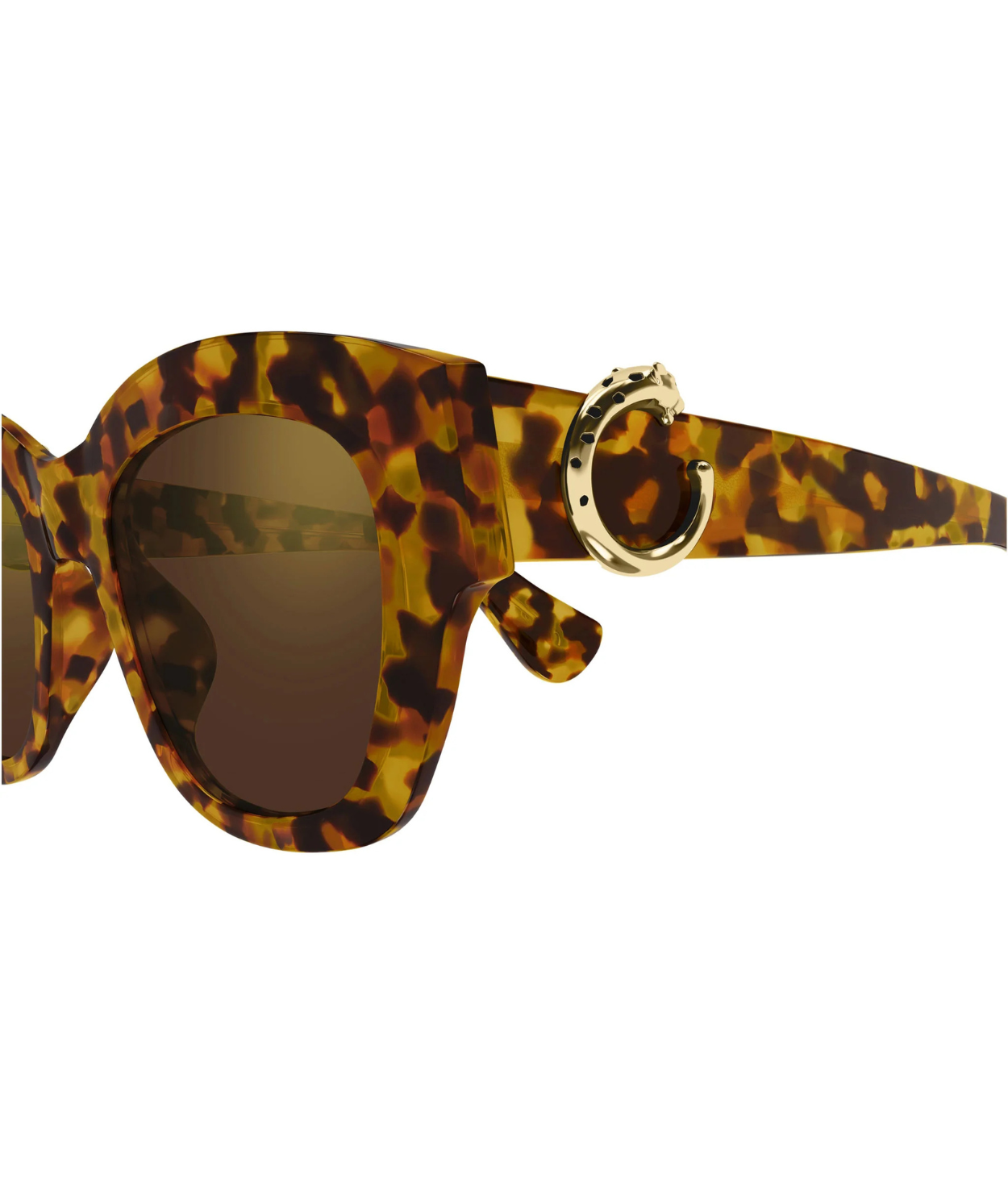 Honey Havana-Brown