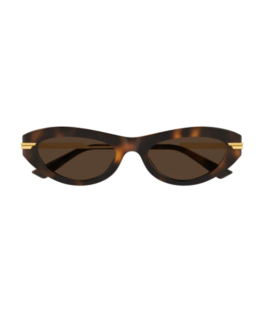 Havana Gold-Brown