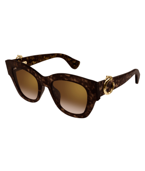 Havana-Brown