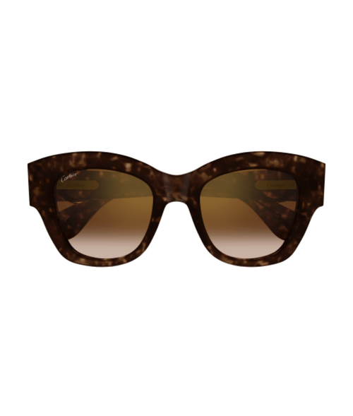 Havana-Brown