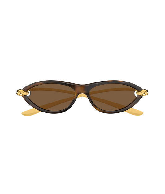 Gold Havana-Brown