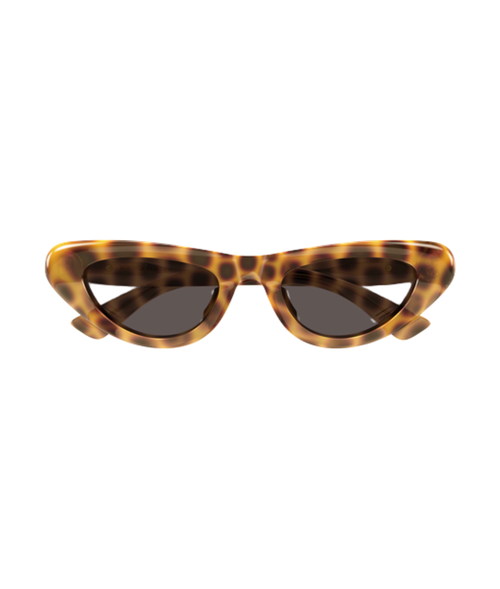 Havana-Brown
