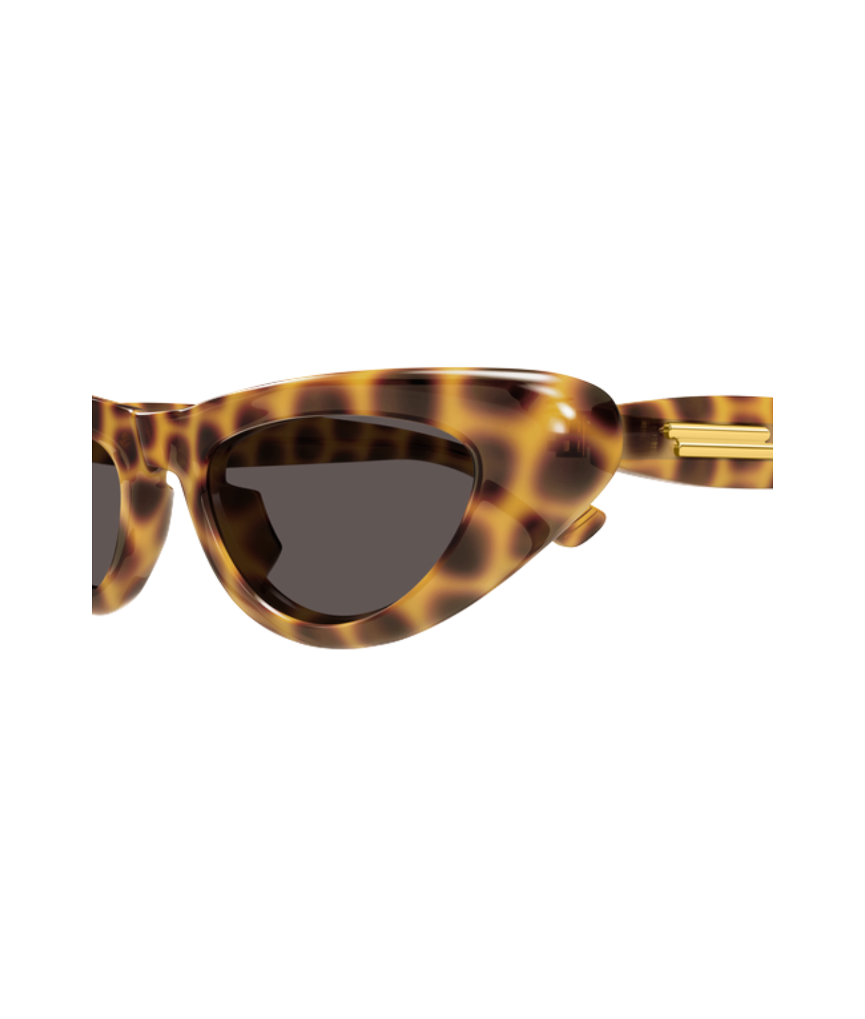 Havana-Brown