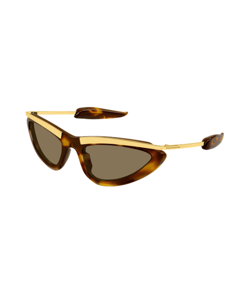 Havana-Brown