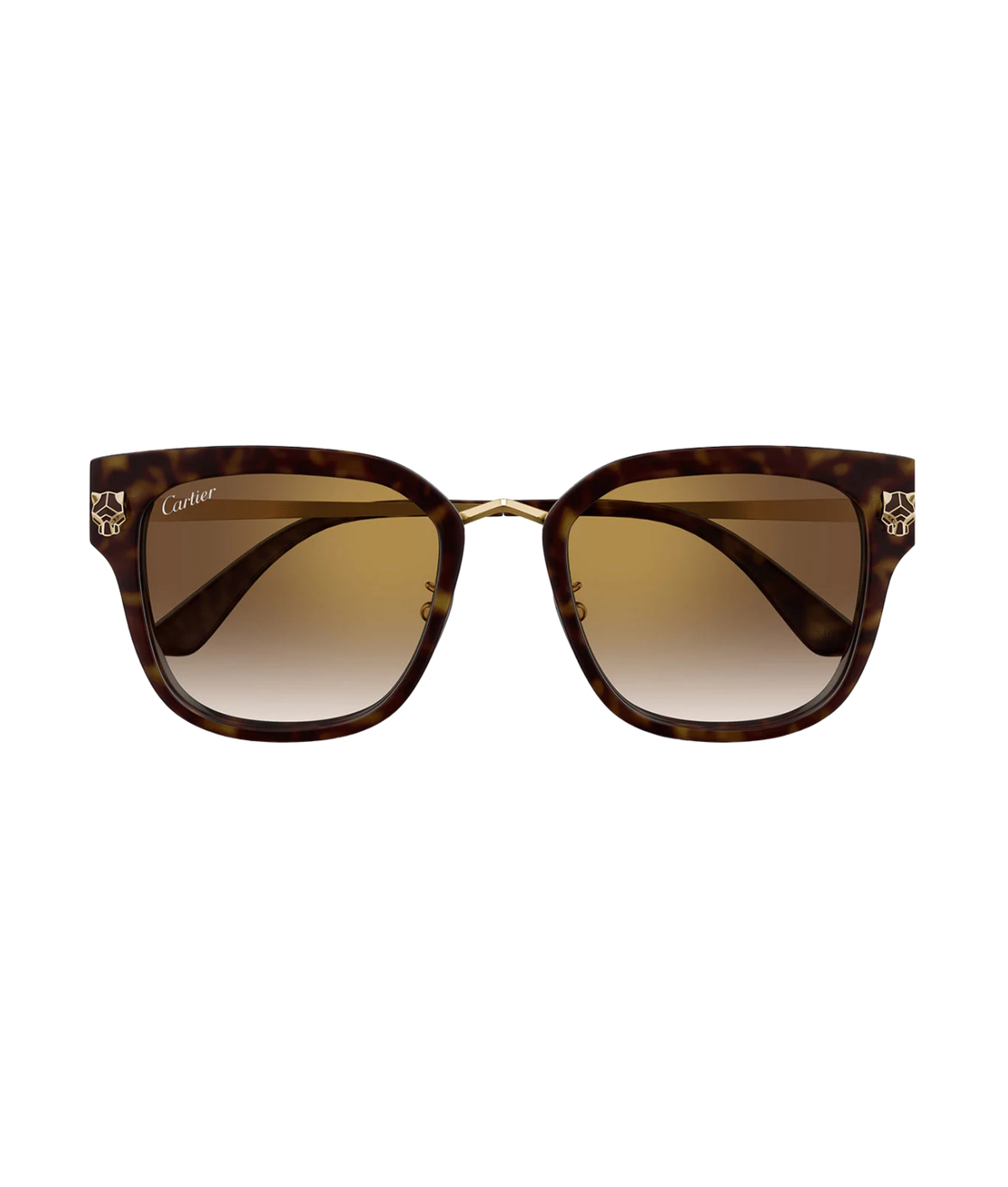 Havana Gold-Brown