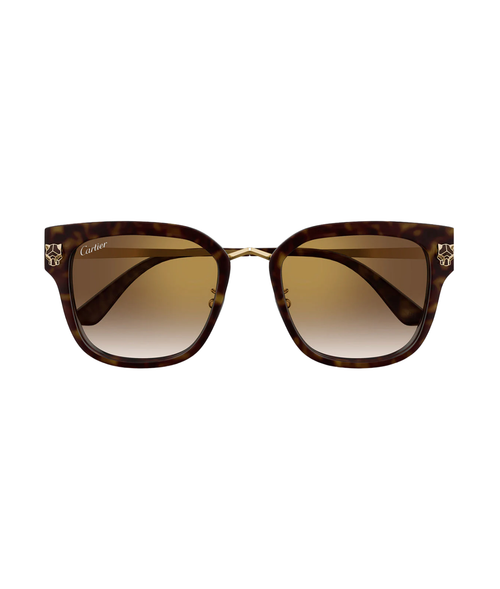 Havana Gold-Brown