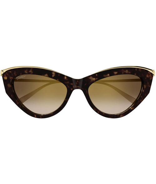 Havana Gold-Brown
