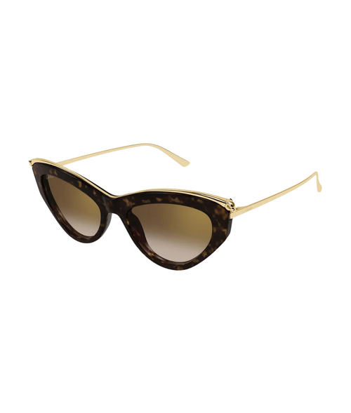 Havana Gold-Brown
