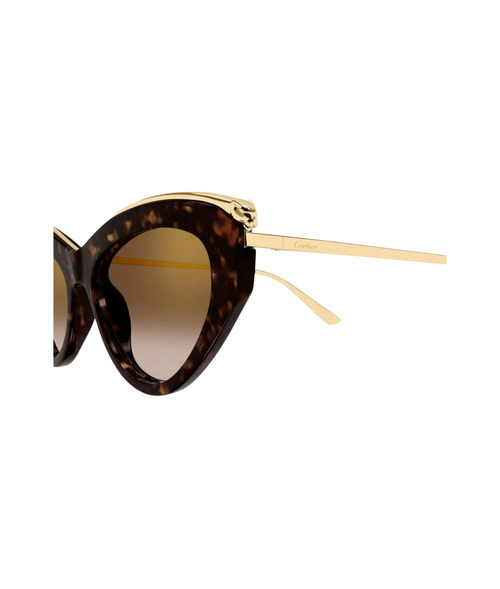 Havana Gold-Brown