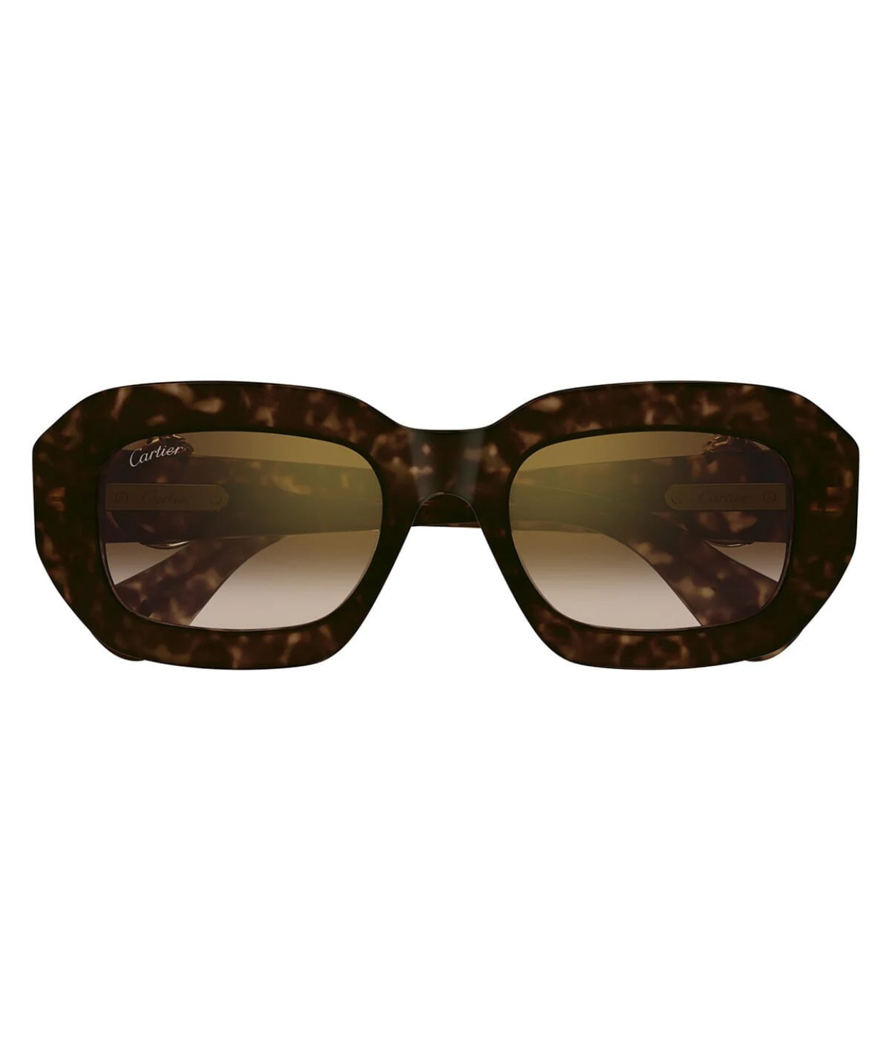Havana-Brown
