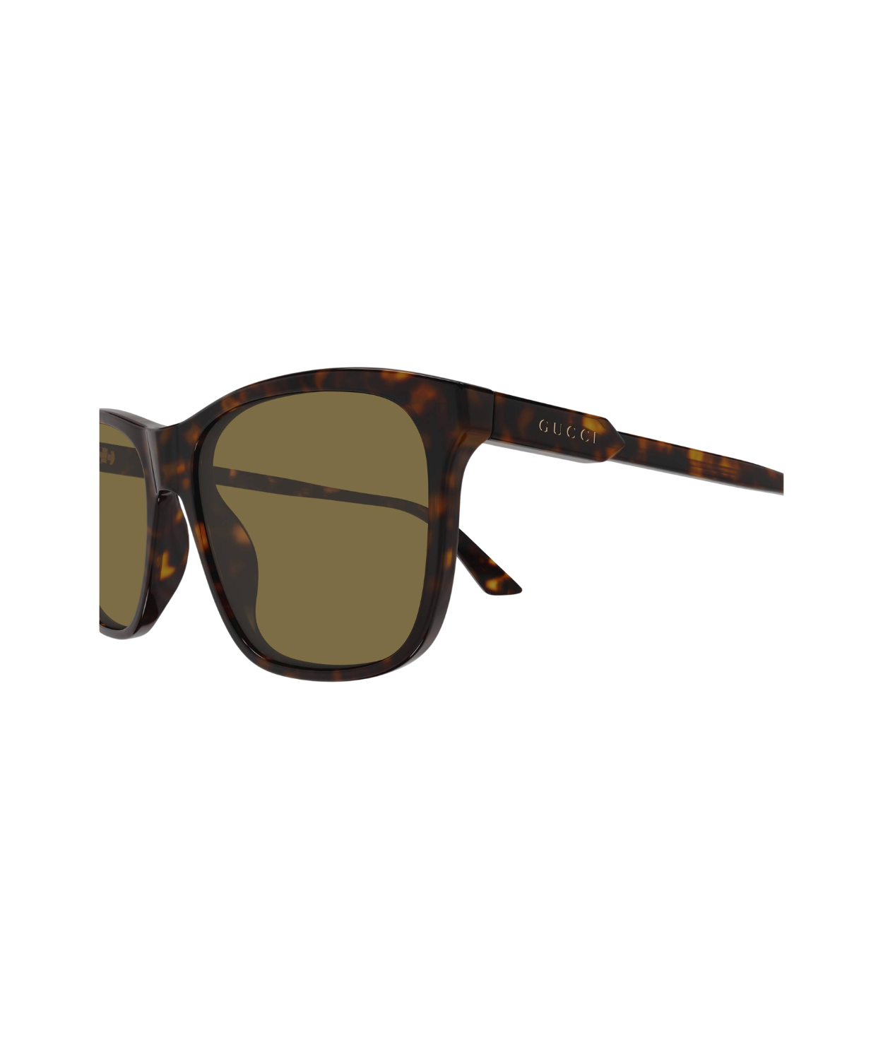 Havana-Brown