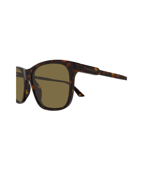 Havana-Brown