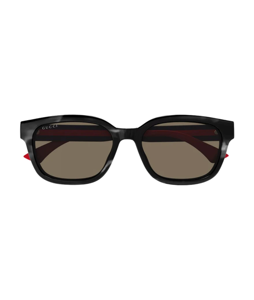 Havana Blue-Brown