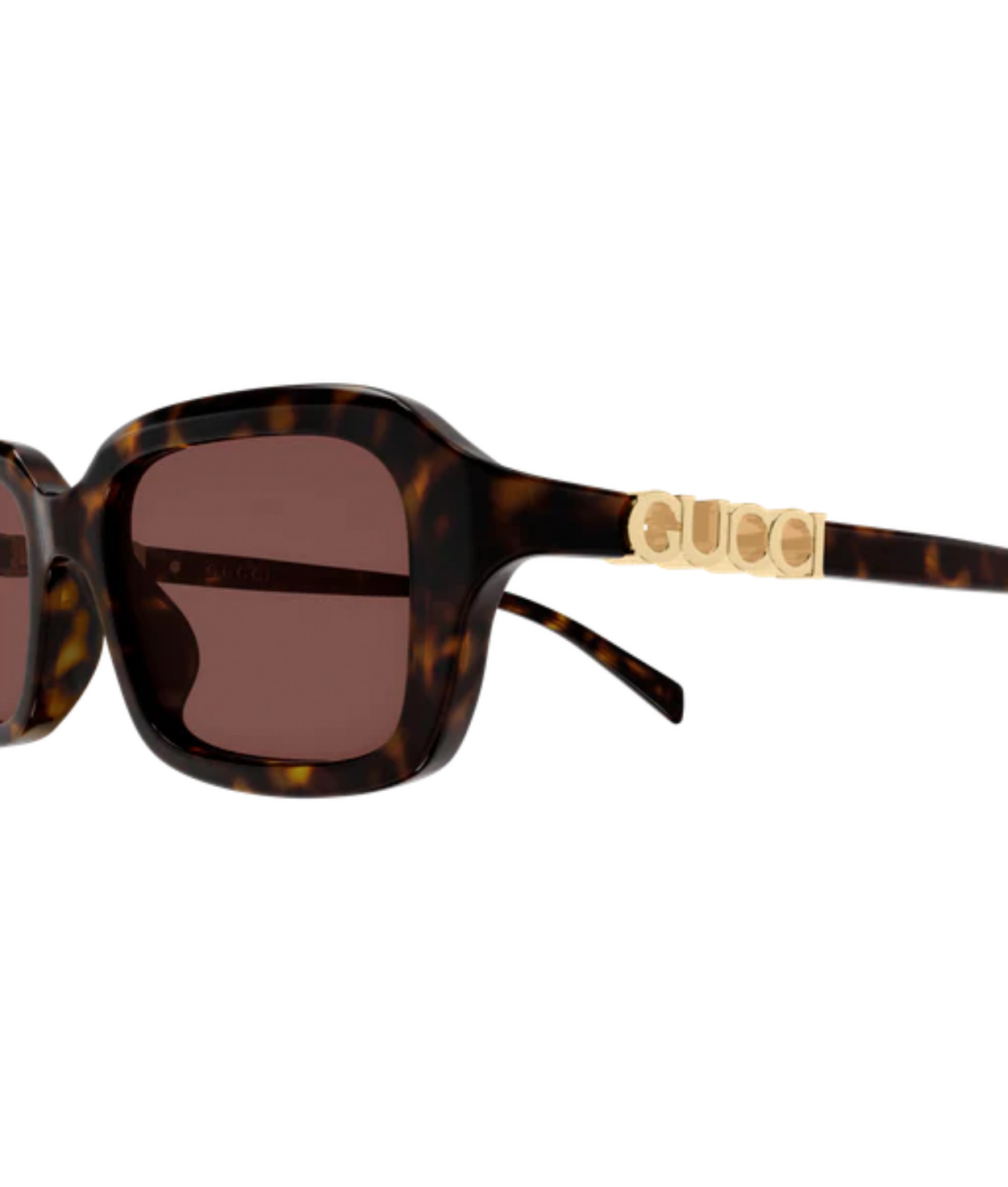 Havana-Brown