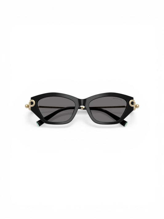Tiffany & Co. TF4231U Cat Eye Sunglasses