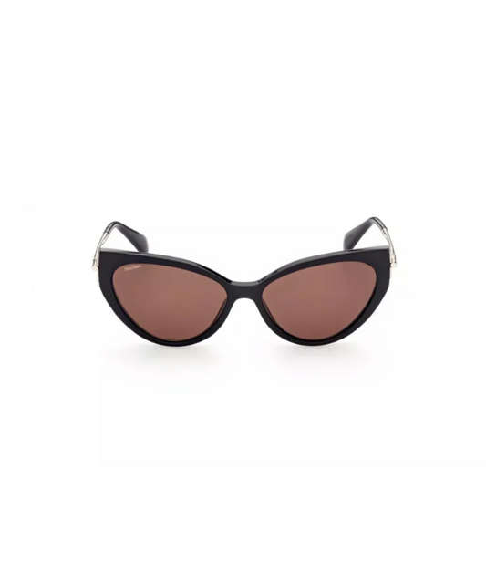 Shiny Black-Brown