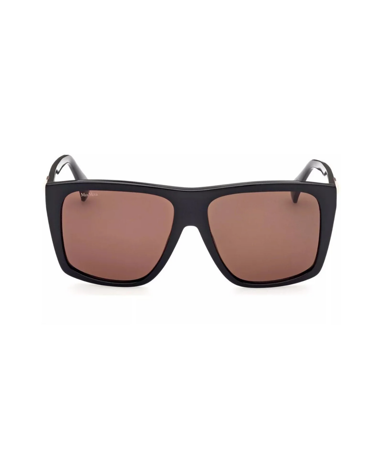 Shiny Black-Brown