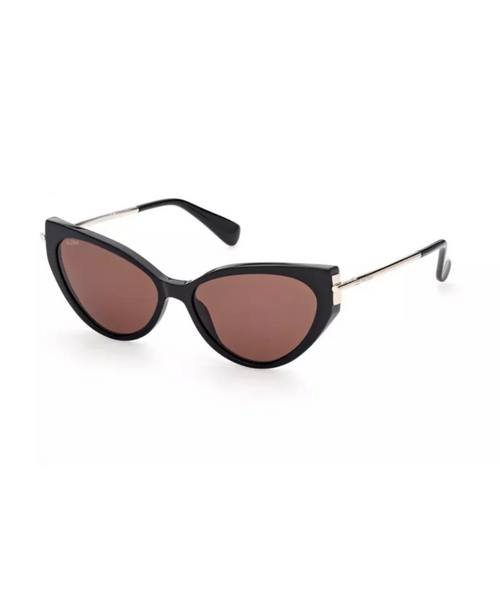 Shiny Black-Brown