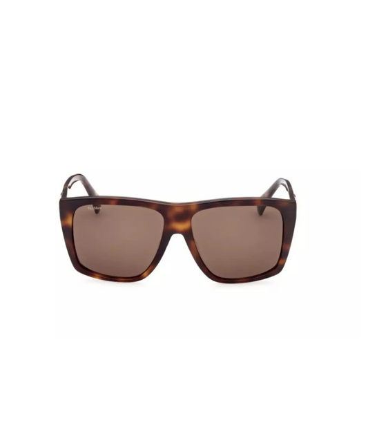 Shiny Black-Brown