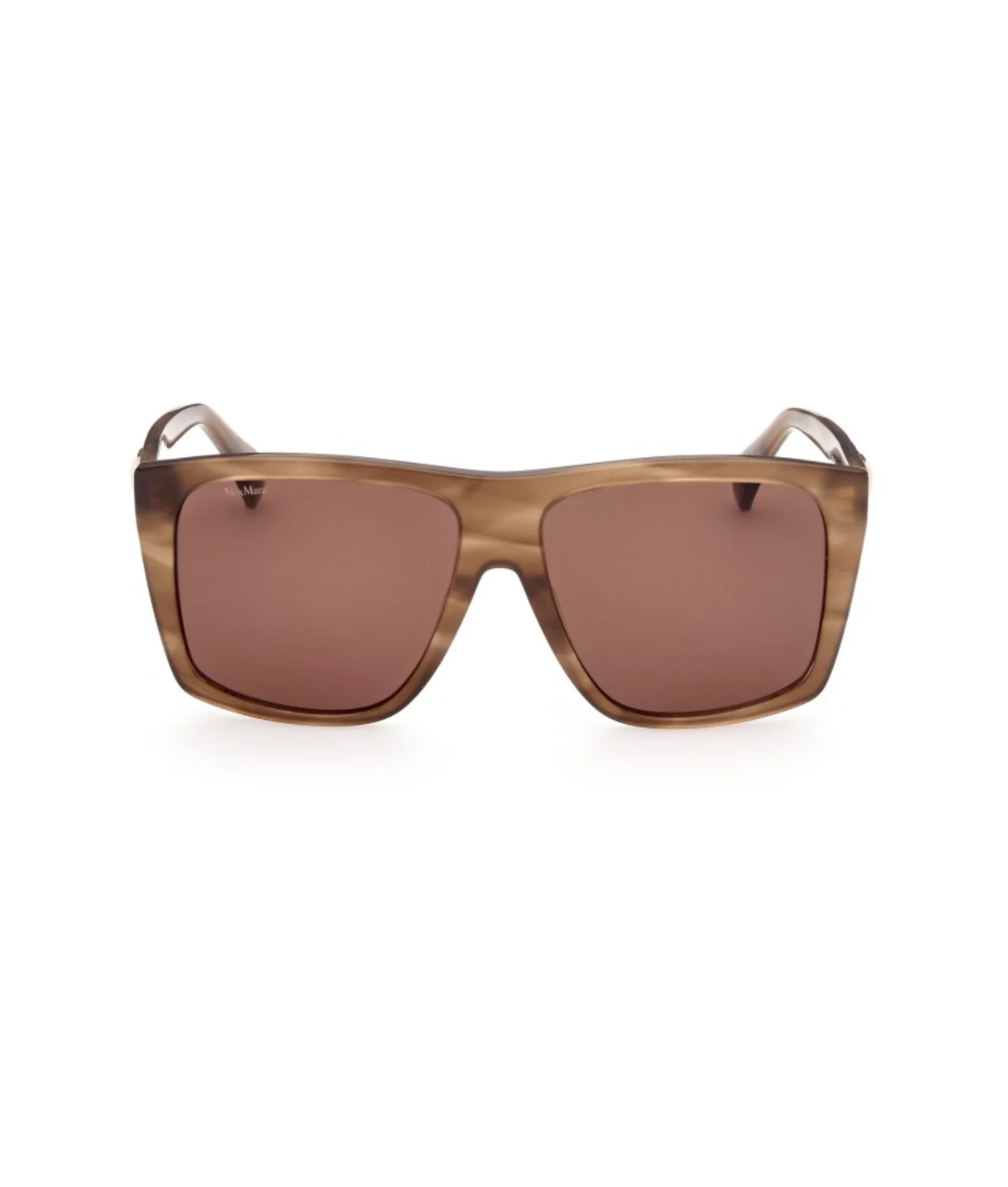 Shiny Brown-Brown