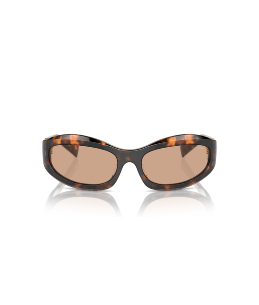 Honey Havana-Dark Brown