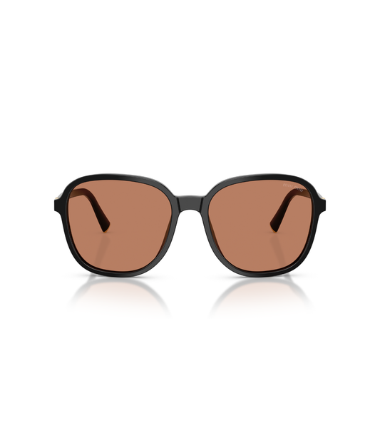 Black-Brown