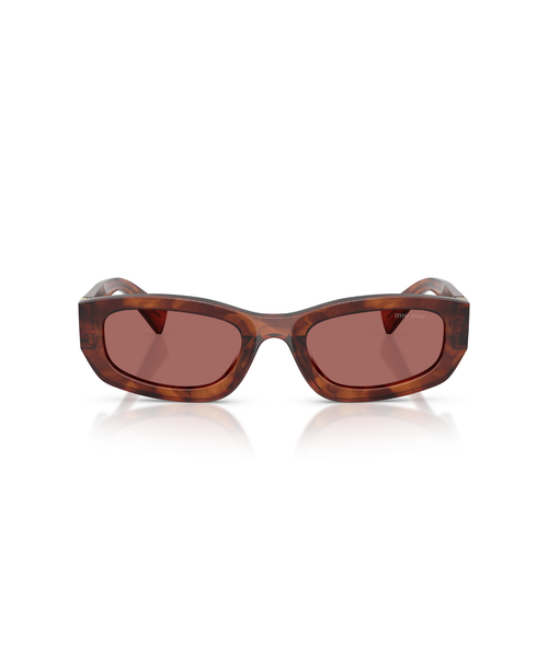Striped Tobacco-Dark Violet